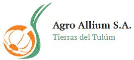 Agro Allium